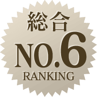 総合ランキングNO.6